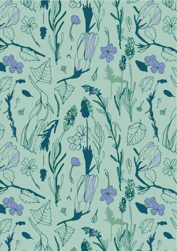 Home_CollectionArtboard 6.png