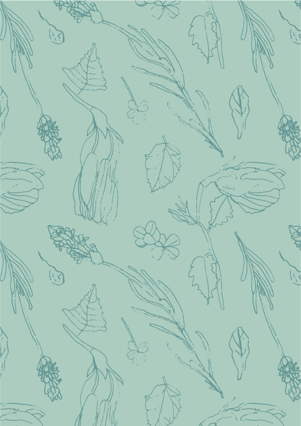 Home_CollectionArtboard 4.png