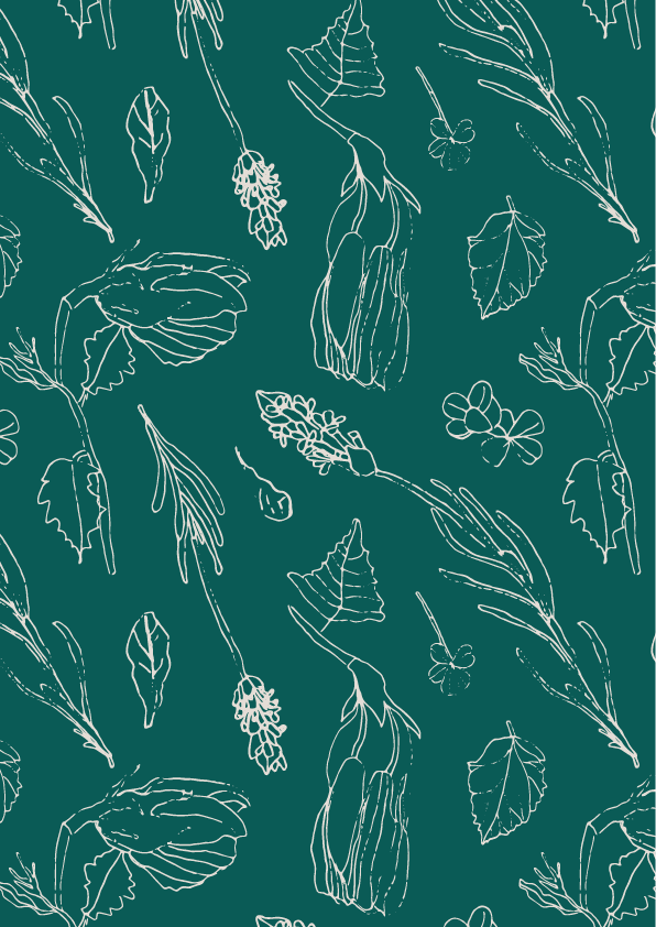 Home_CollectionArtboard 12.png