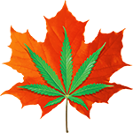 logo-vt.png
