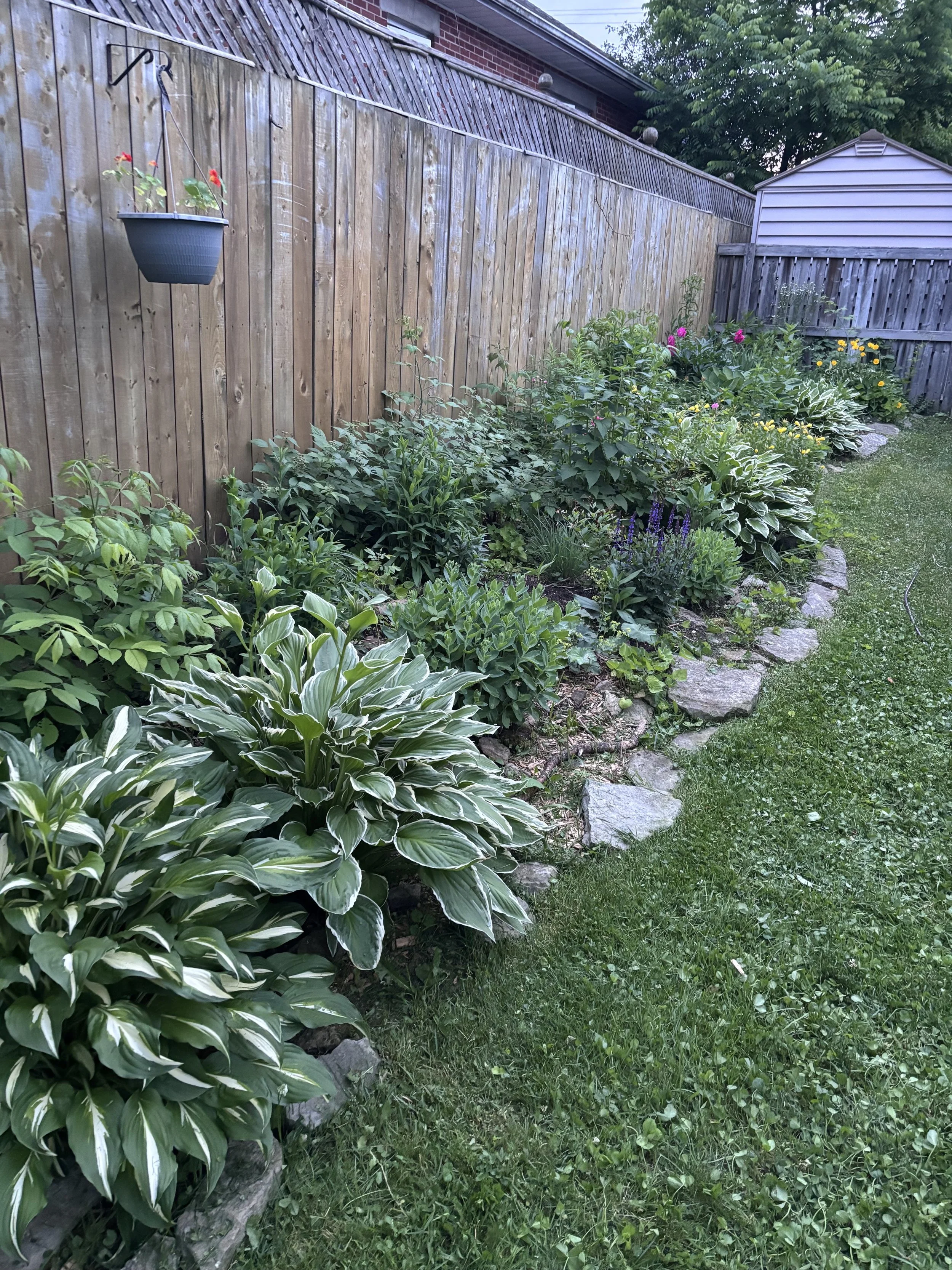 border garden.jpg