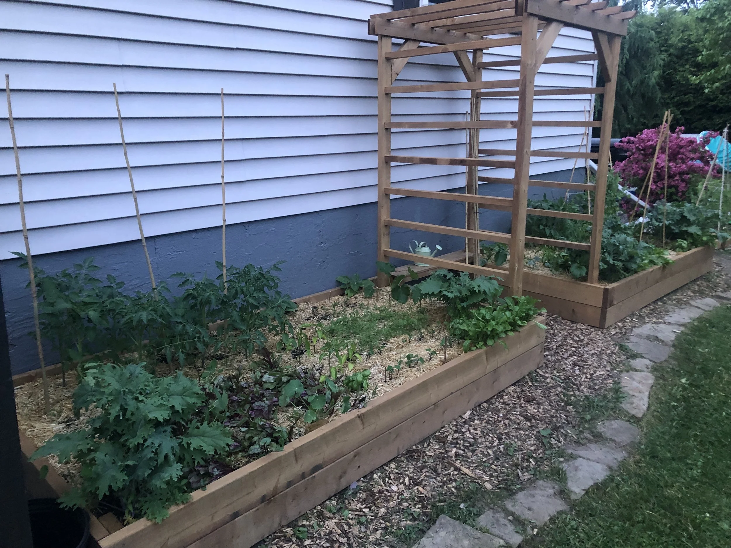 kitchen garden.jpg