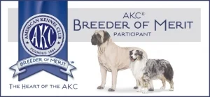 AusShep_MastiffBoM_Banner.jpg