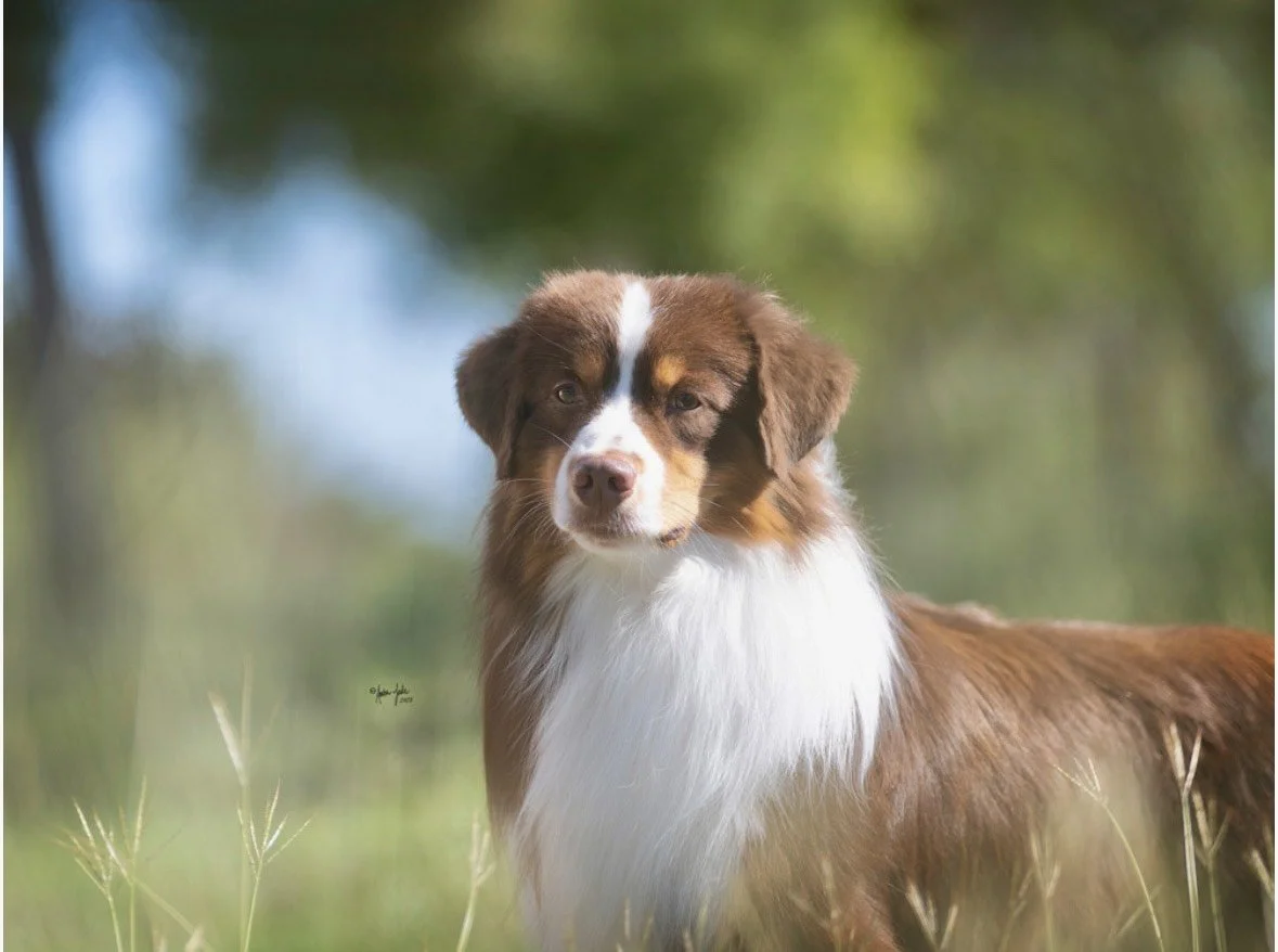 image_123650291 (2).JPG