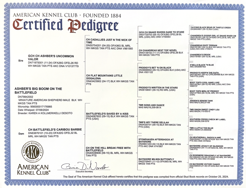 Bam's AKC pedigree