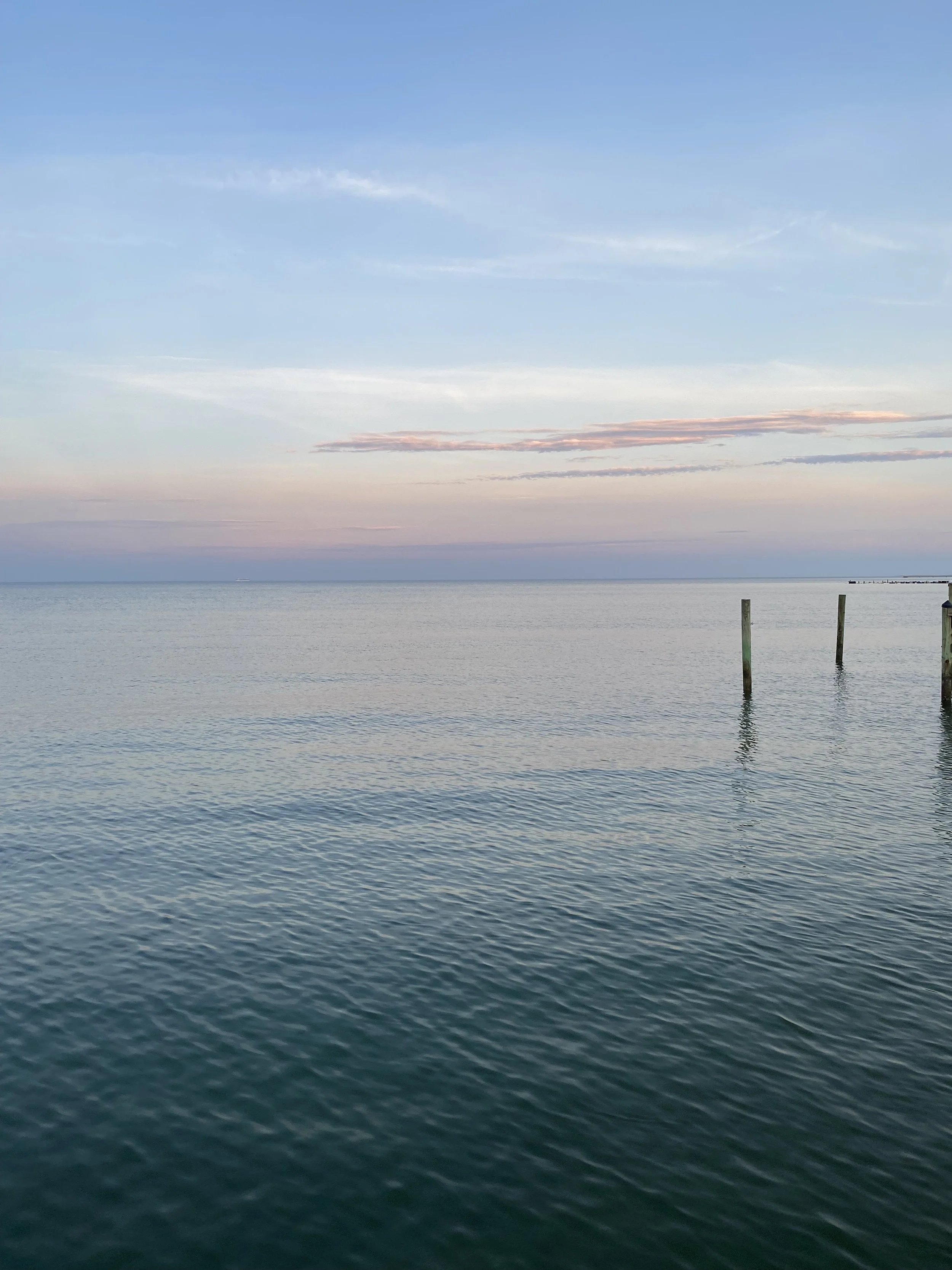 IMG_7528.jpeg