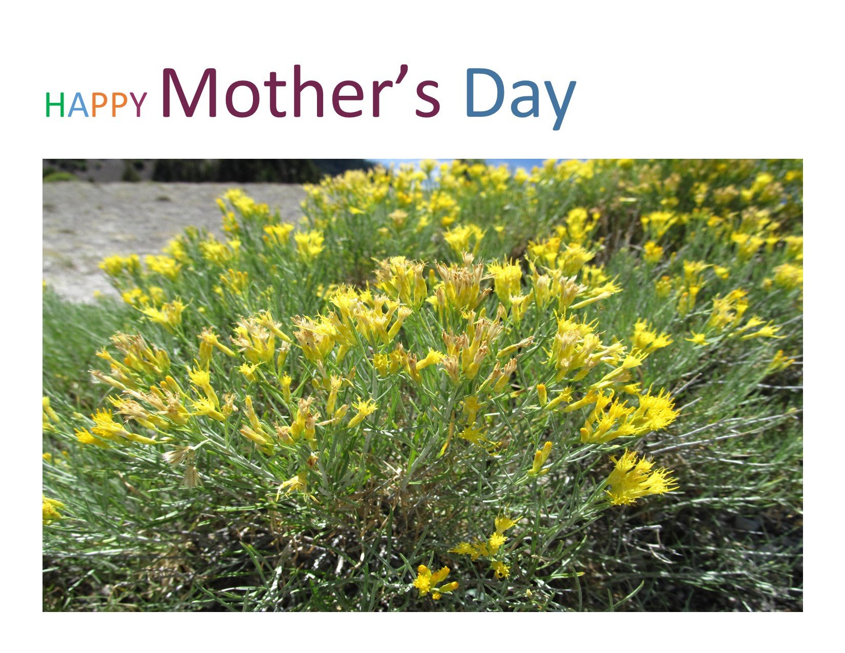 Worship Service - Mother's Day