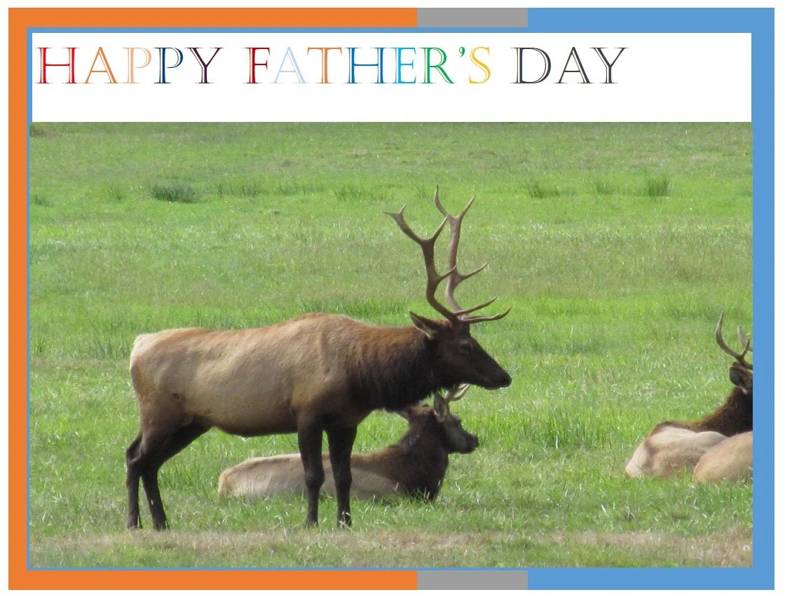 Worship Service - Father's Day
