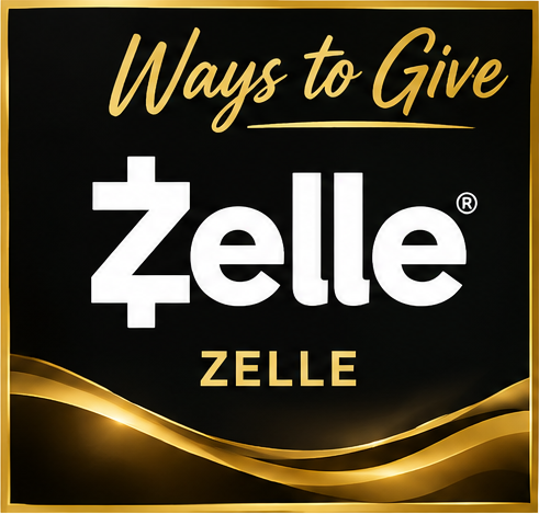 01_Zelle copy.png