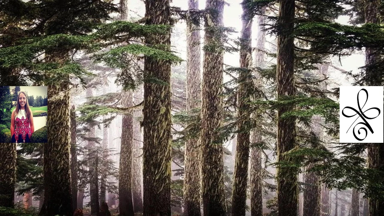 Forest, Caitlin and Strength 3.jpg