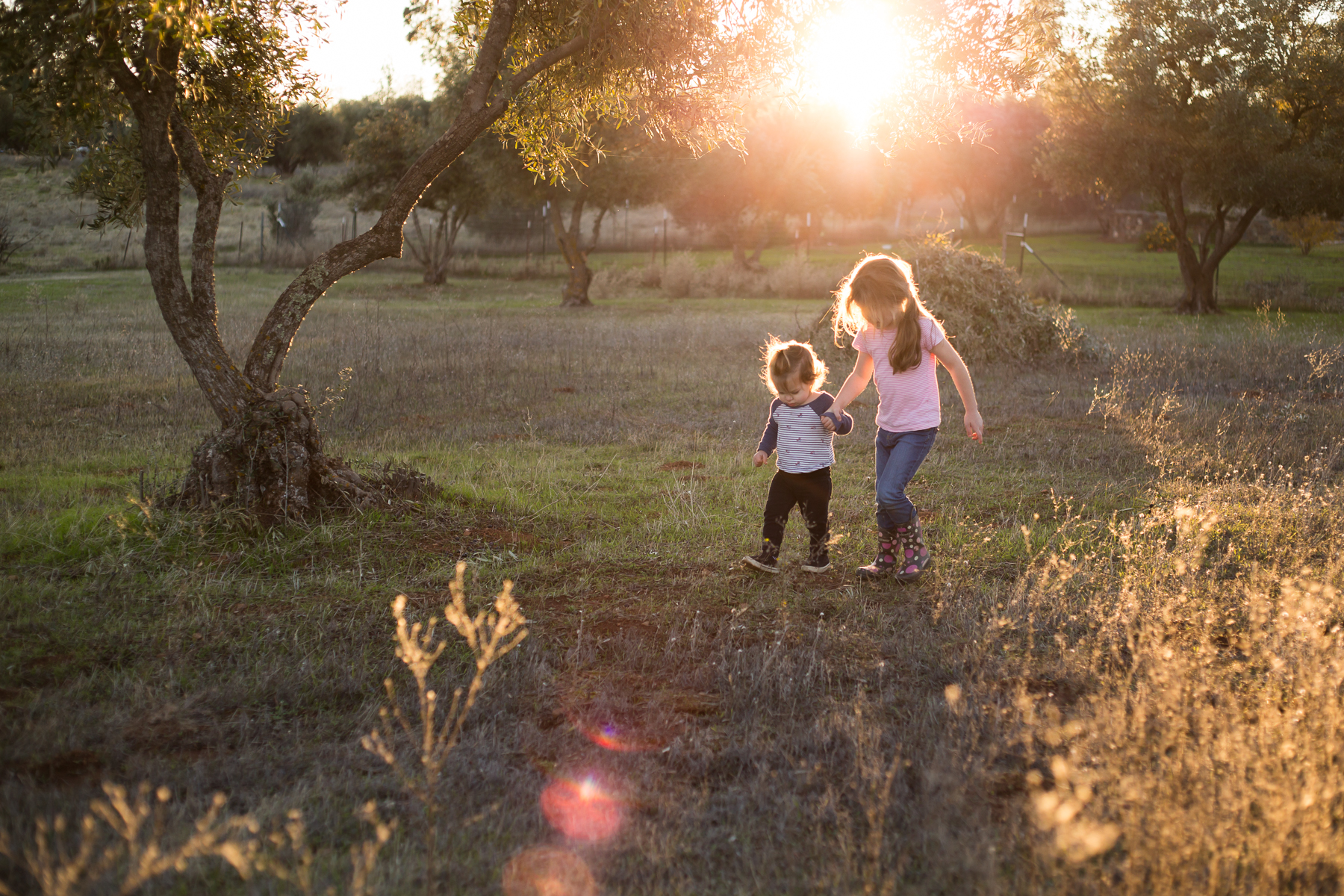 Tonya Edwards | Oroville Photographer