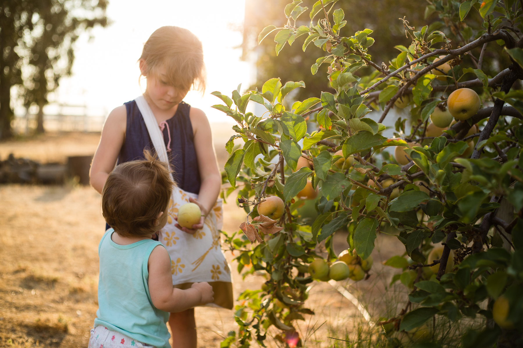 Tonya Edwards | Oroville Photographer