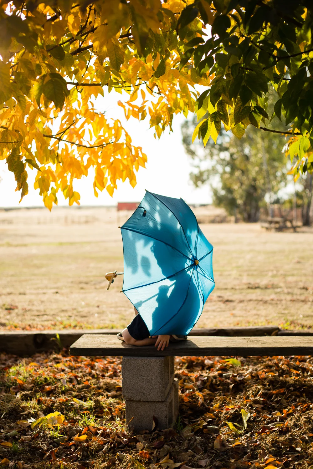 Tonya Edwards | Oroville Photographer