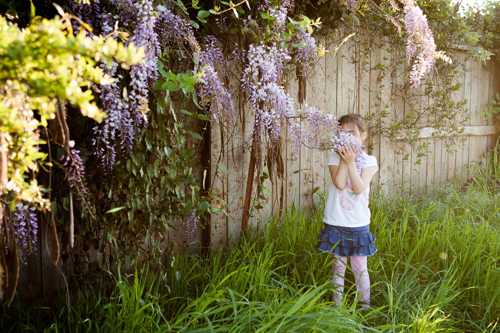 Tonya Edwards | Oroville Photographer