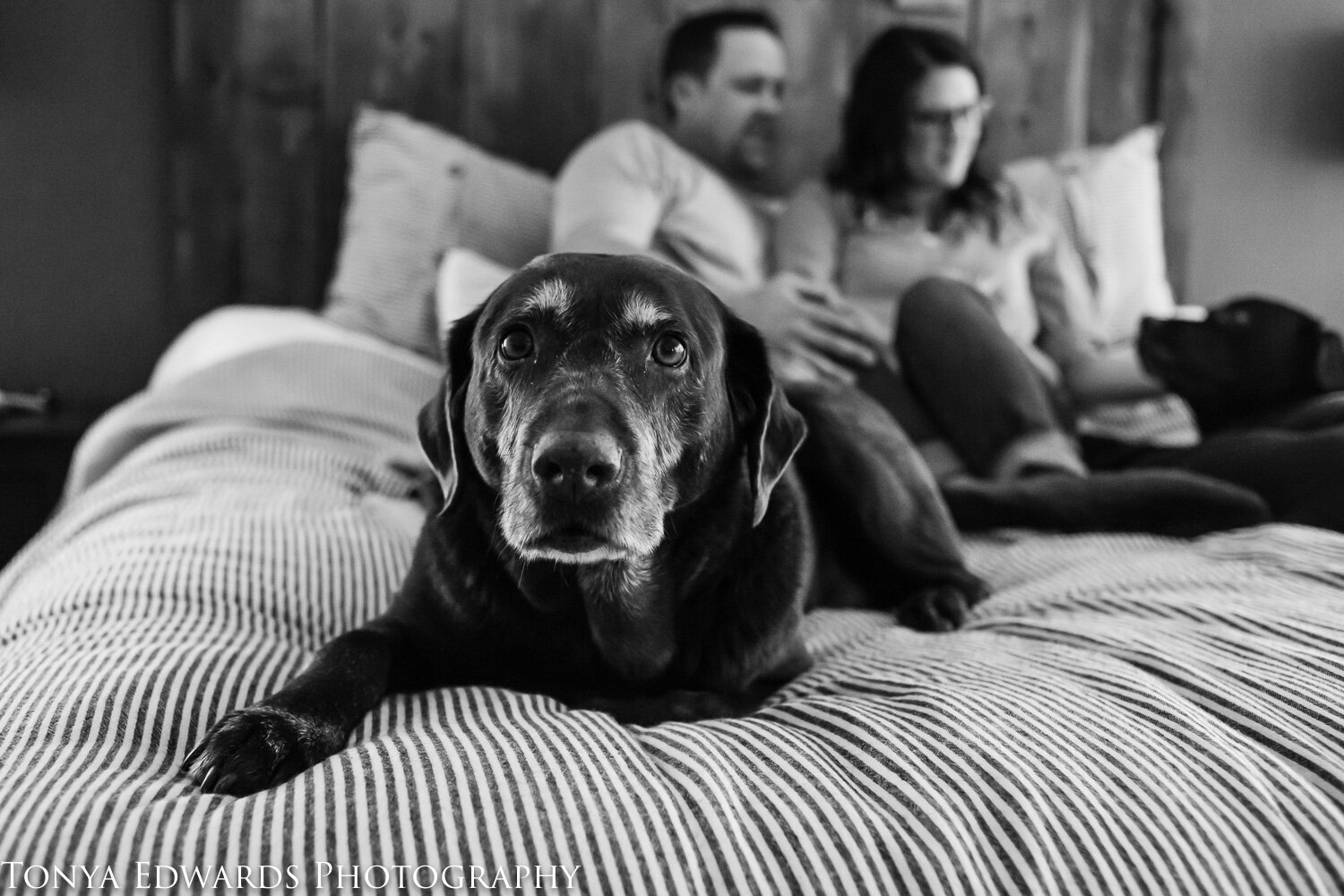 Tonya Edwards | Oroville Photographer | in-home lifestyle family session with pets