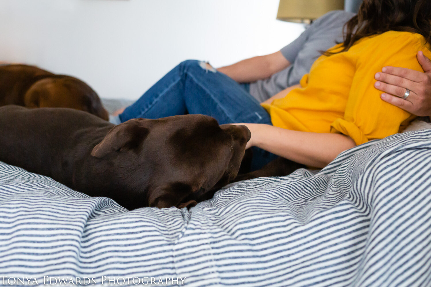 Tonya Edwards | Oroville Photographer | in-home lifestyle family session with pets