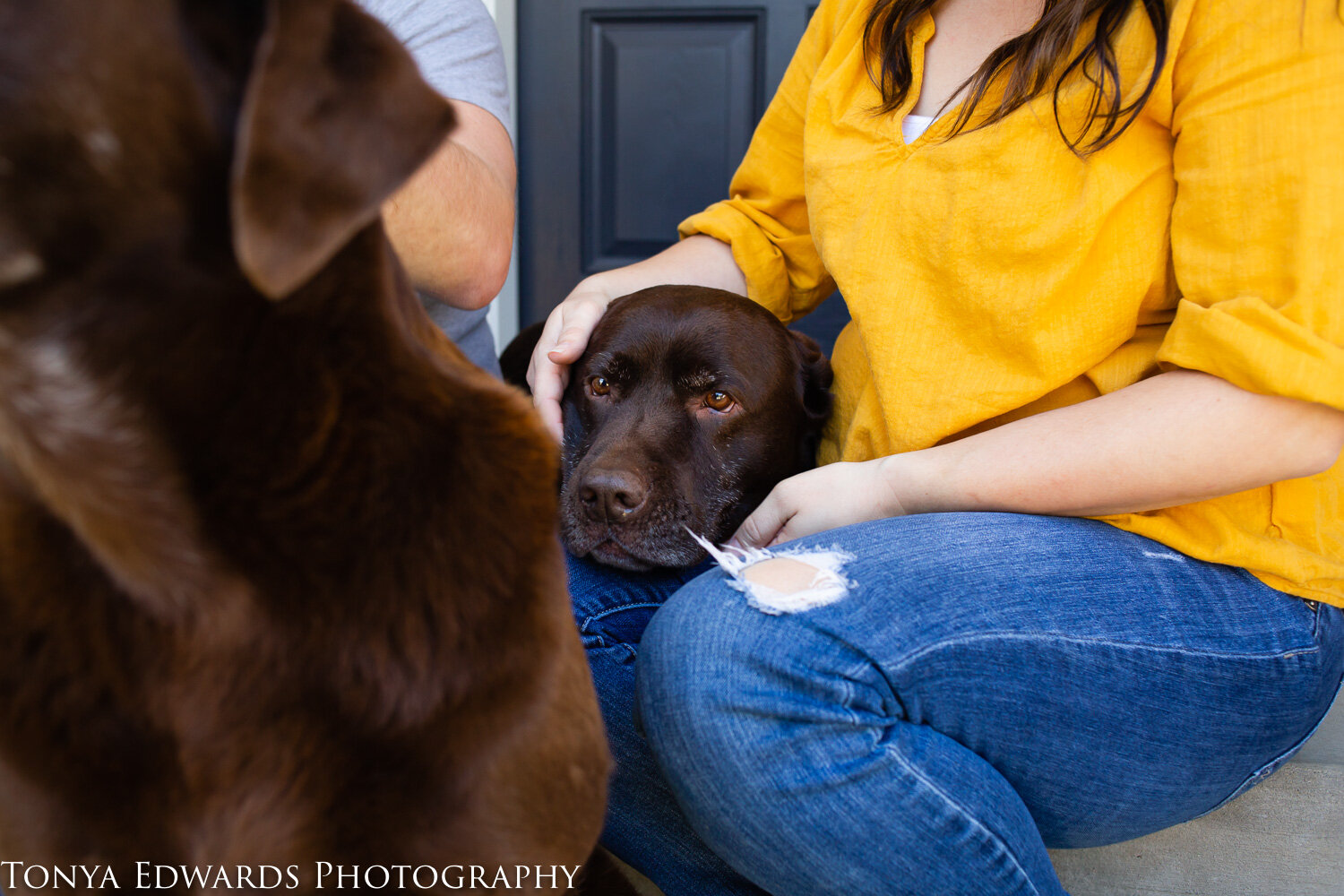 Tonya Edwards | Oroville Photographer | in-home lifestyle family session with pets