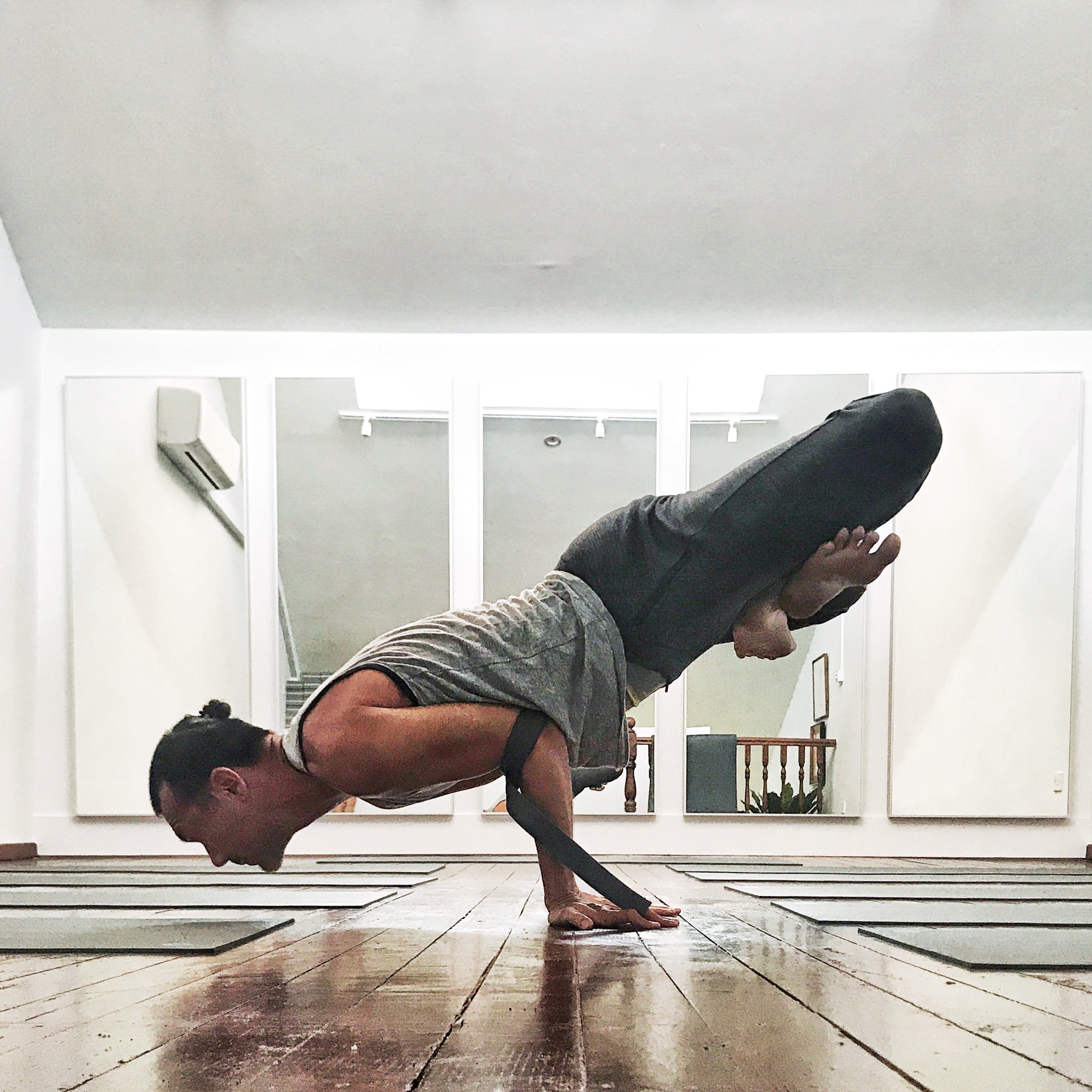 This Week In Nithya Priyan School Of Yoga: Flying Lotus — Nithya Priyan  School of Yoga