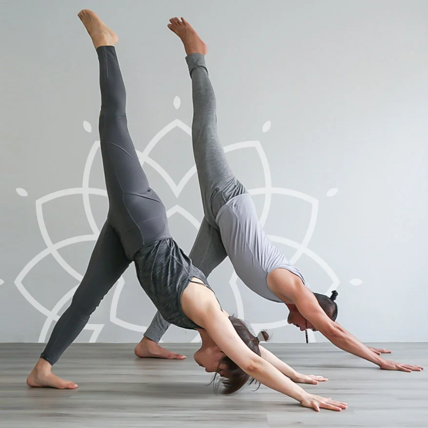 Yoga Foundations - Three part Course for Beginners