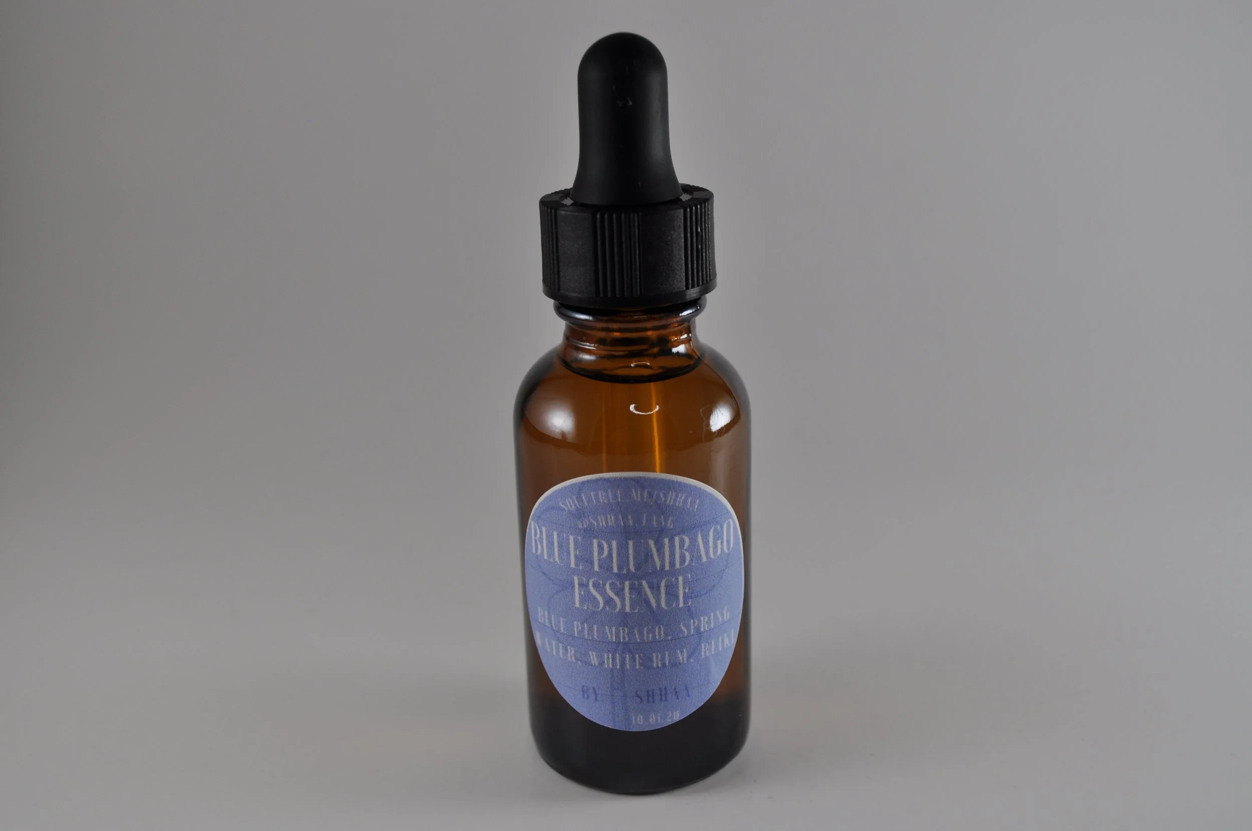 Blue Plumbago Essence 2.JPG