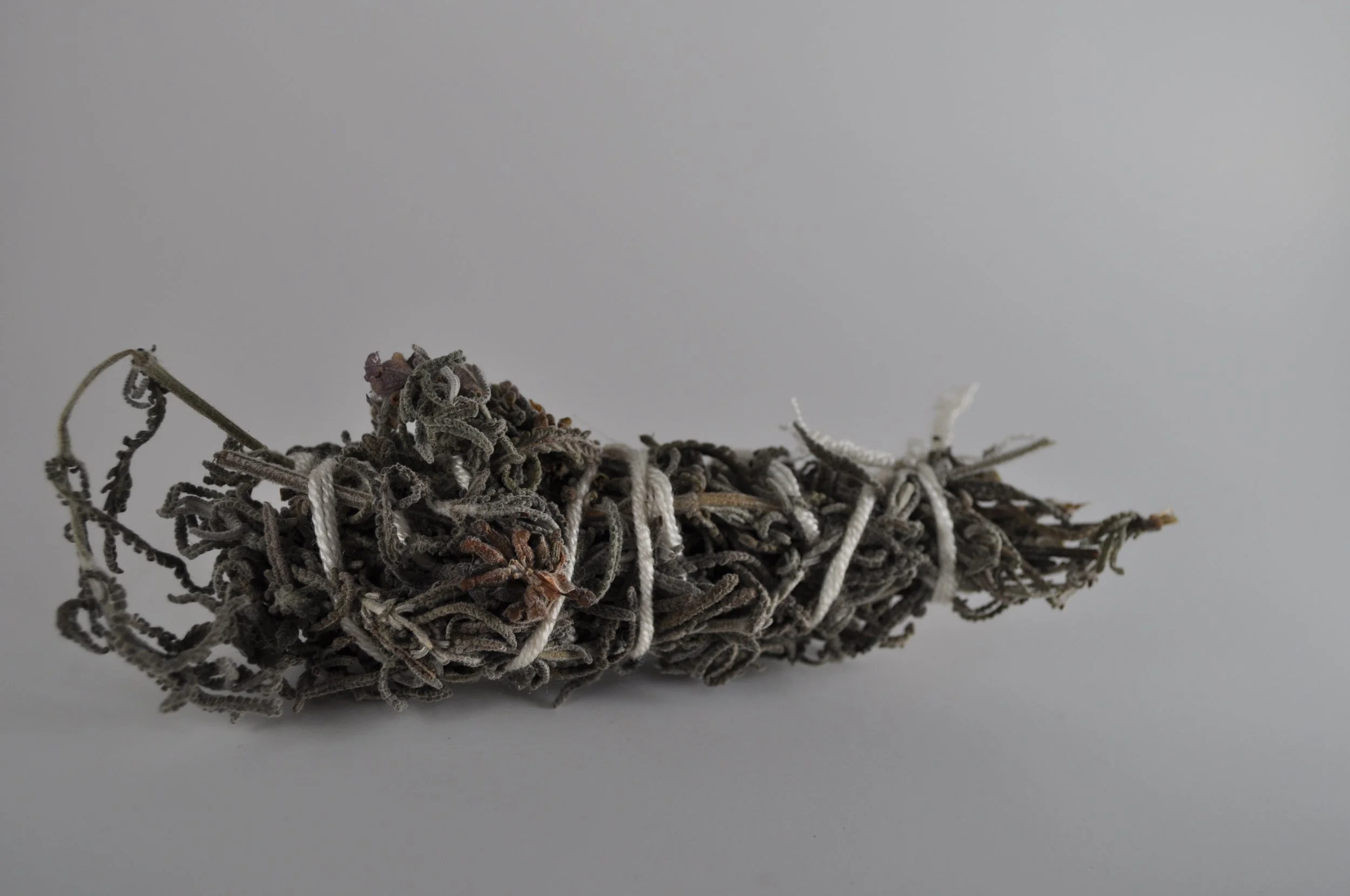 Lavender Bundle 2.JPG
