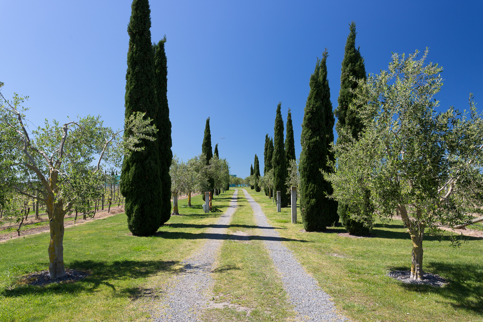 Elephant Hill Lodge - Driveway 
