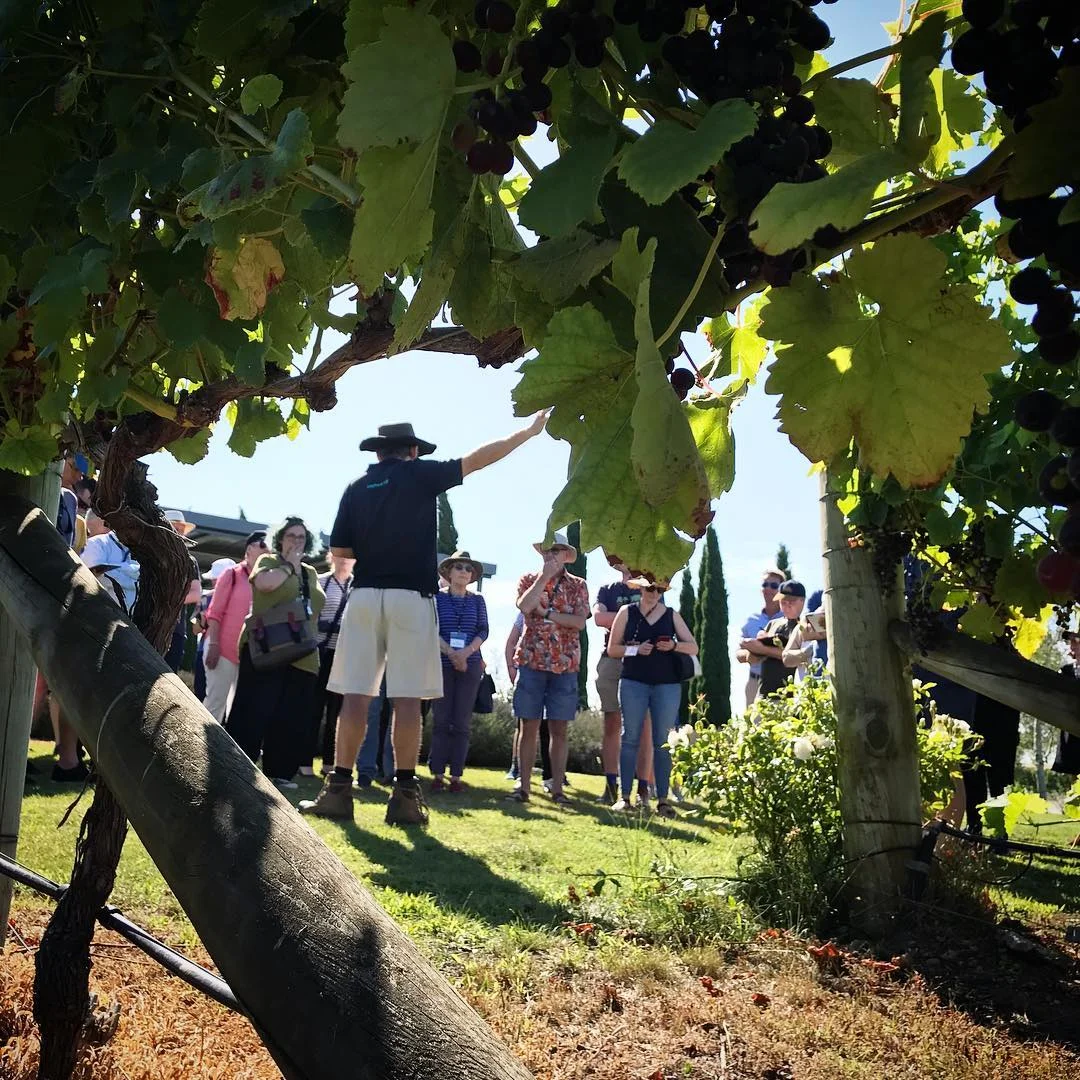 40 Masters of Wine Visit