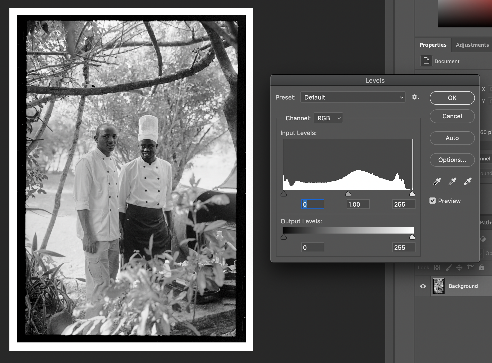 here is the normal exposure. notice the contrast and histogram levels change in the next image.