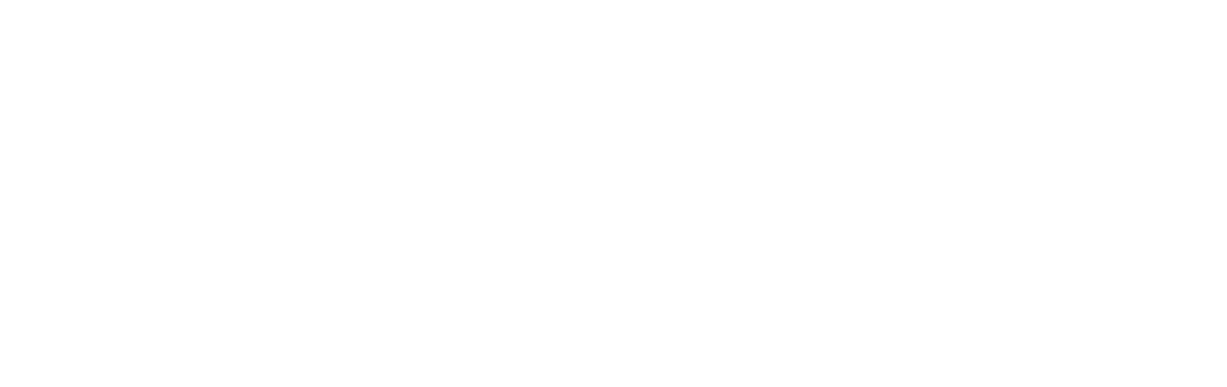 Stretchy Tech Logo (white) without Background with Strap Line.png