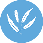 2 Mental Wellness [Converted].png