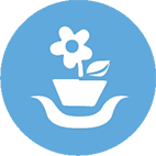 9 garden [Converted].png