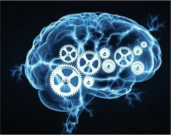 brainworking_1.jpg