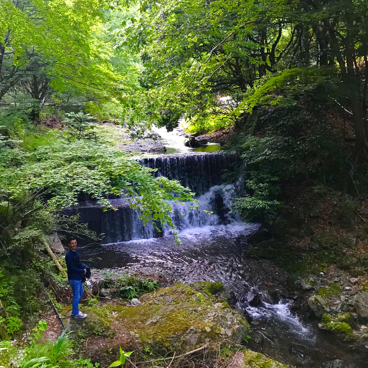 Sakyo-Ku, Kyoto