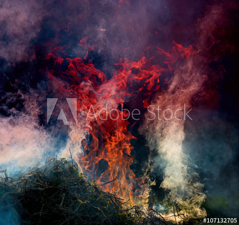 Screen Shot 2017-09-17 at 2.52.52 AM.png