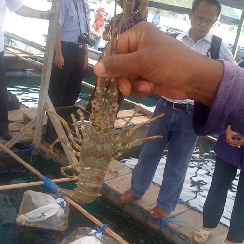 Aquaculture Stewardship Council