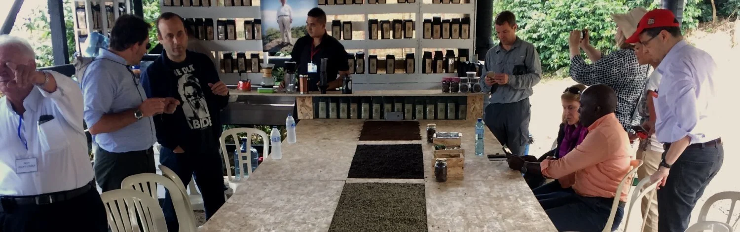 Leading IDH’s Taskforce on Coffee Living Income