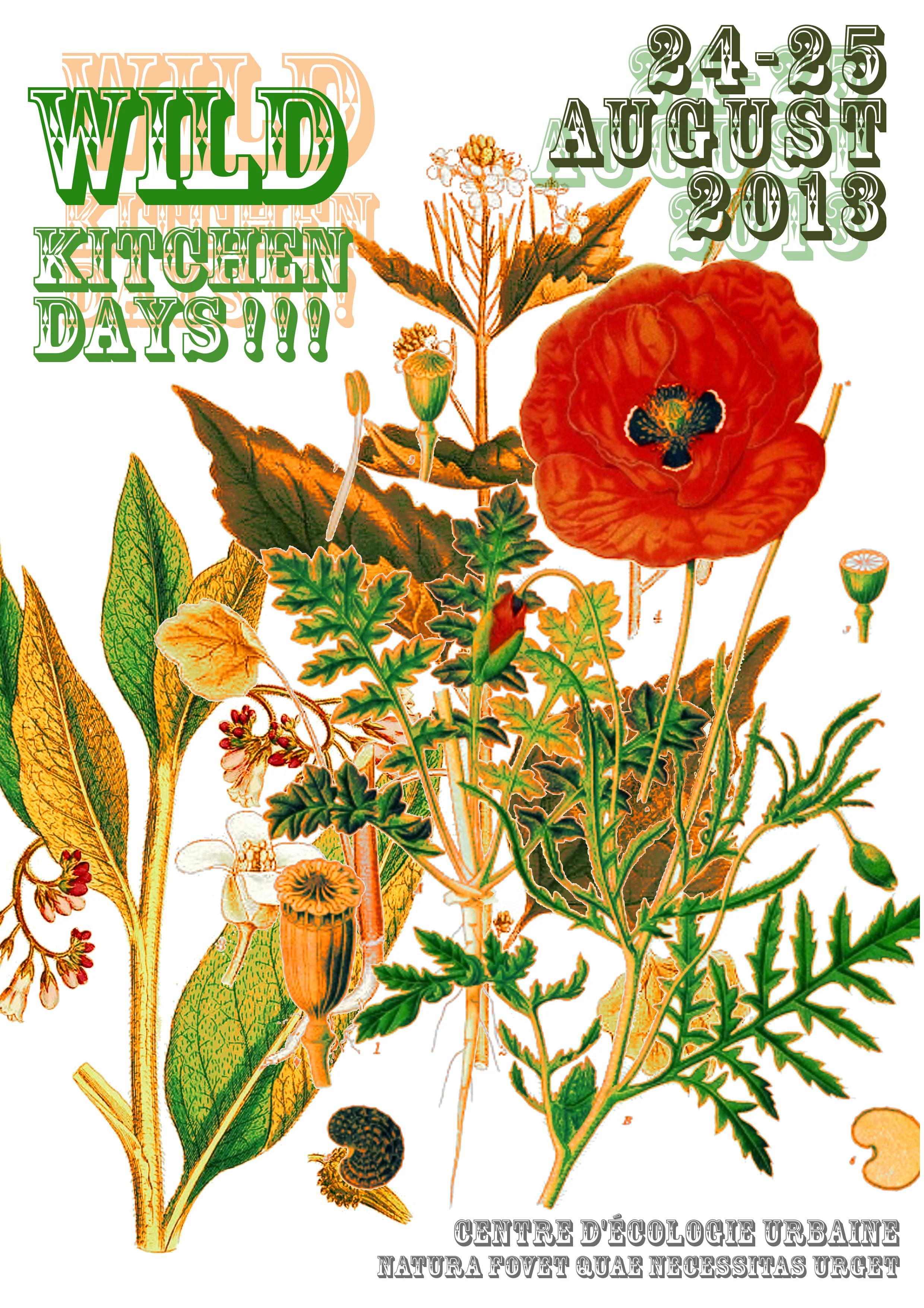 2013. Wild Kitchen Days! Deux jours de cuisine sauvage!