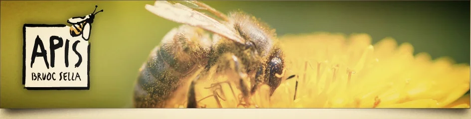 2013. Découverte et compréhension des abeilles