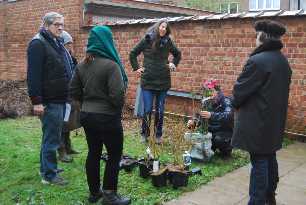 Explications sur la plantation en racines nues