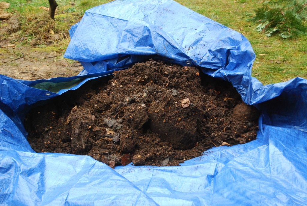 Du compost pour améliorer le sol