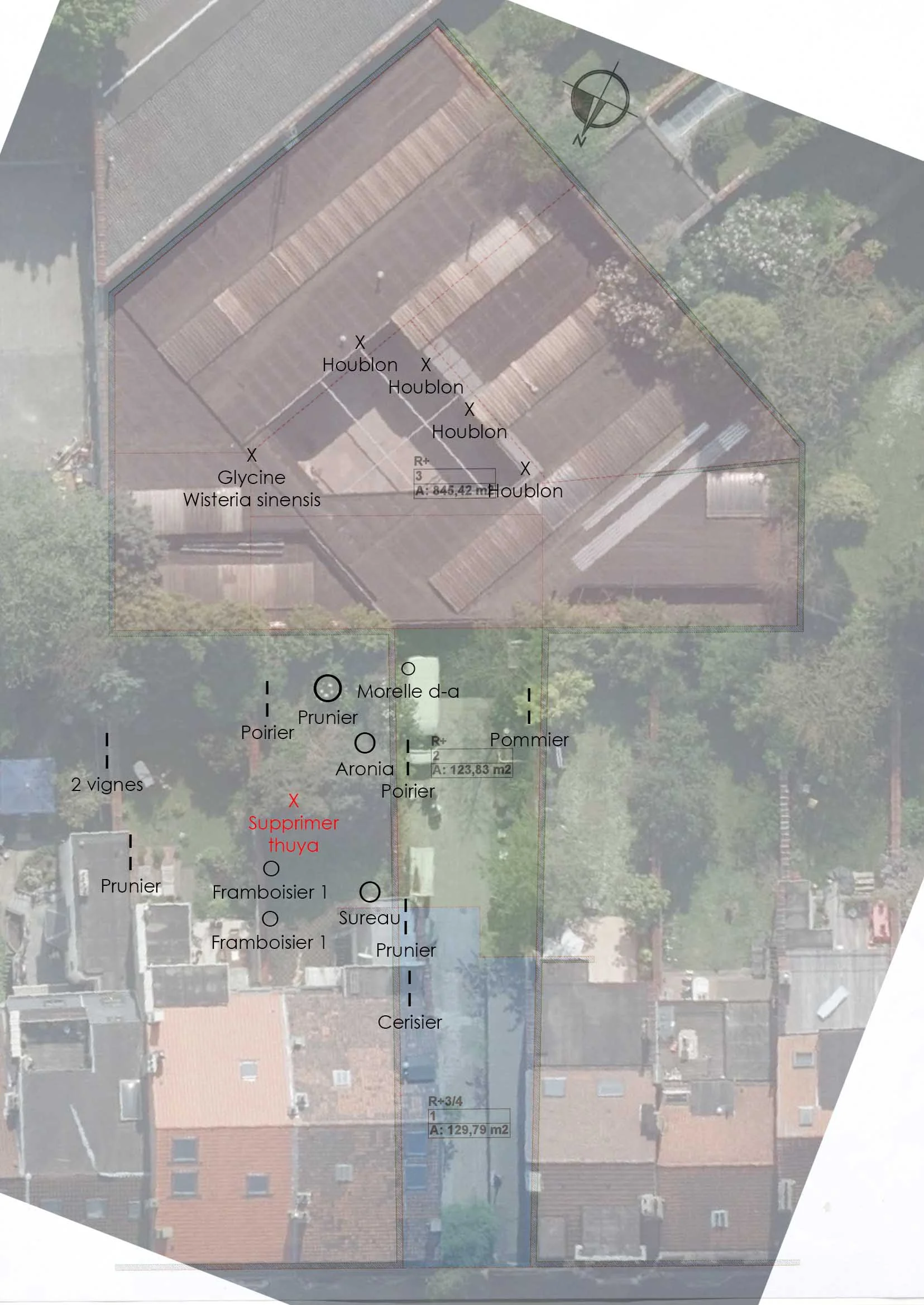 Plan de plantation sur plusieurs jardins