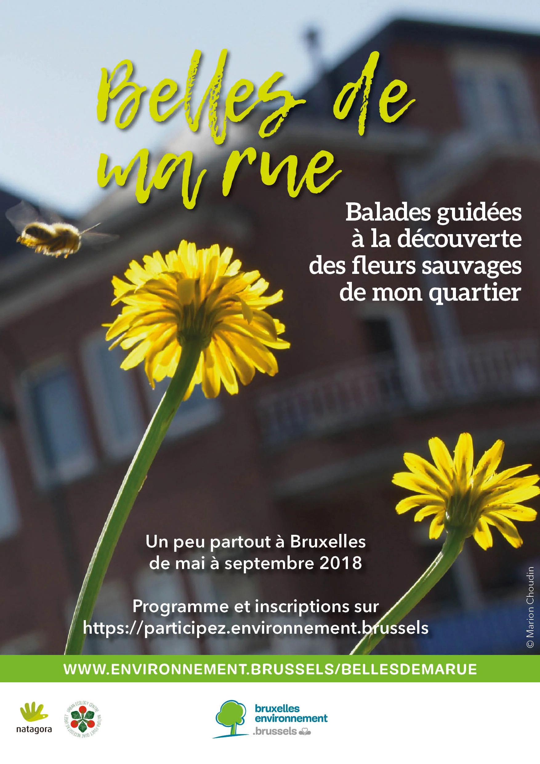 20180424 Affiche fr.jpg