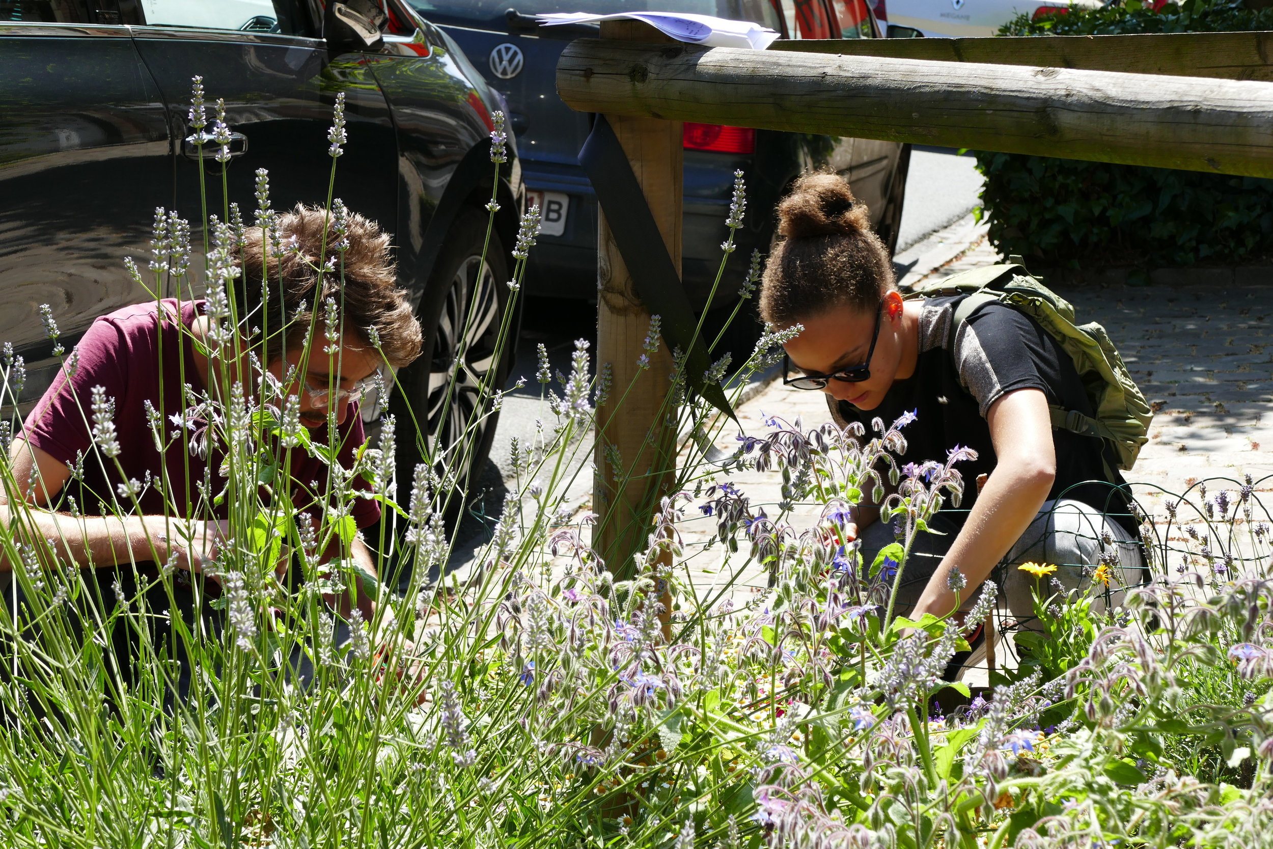 Atelier de sensibilisation à la biodiversité et relevé d'insectes