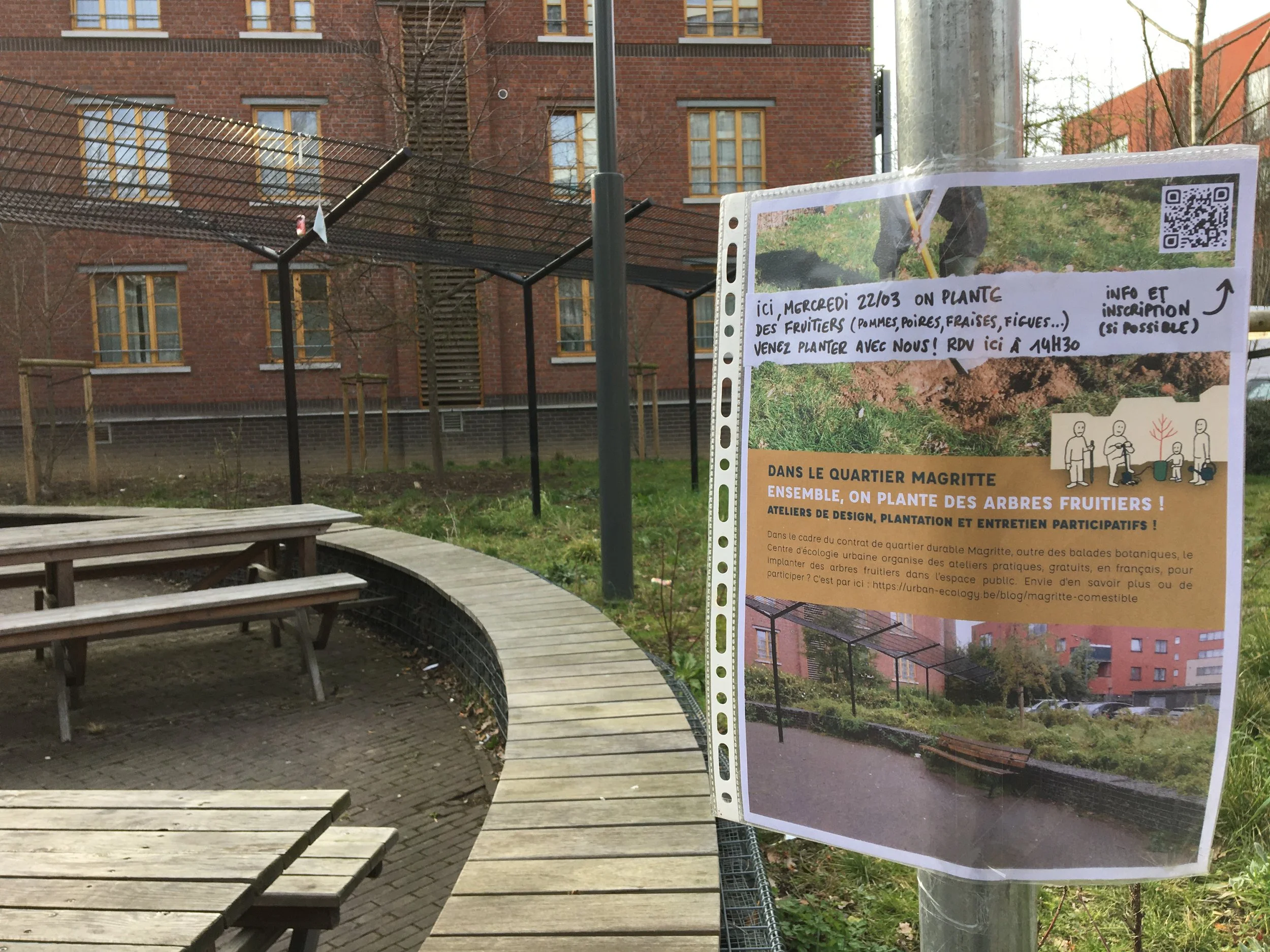 Plantation participative de fruitiers à Jette