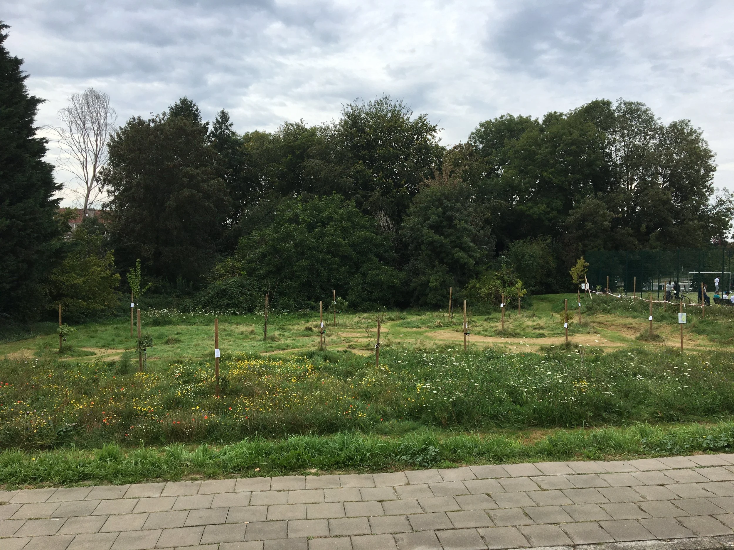 2022. Verger fleuri à Berchem