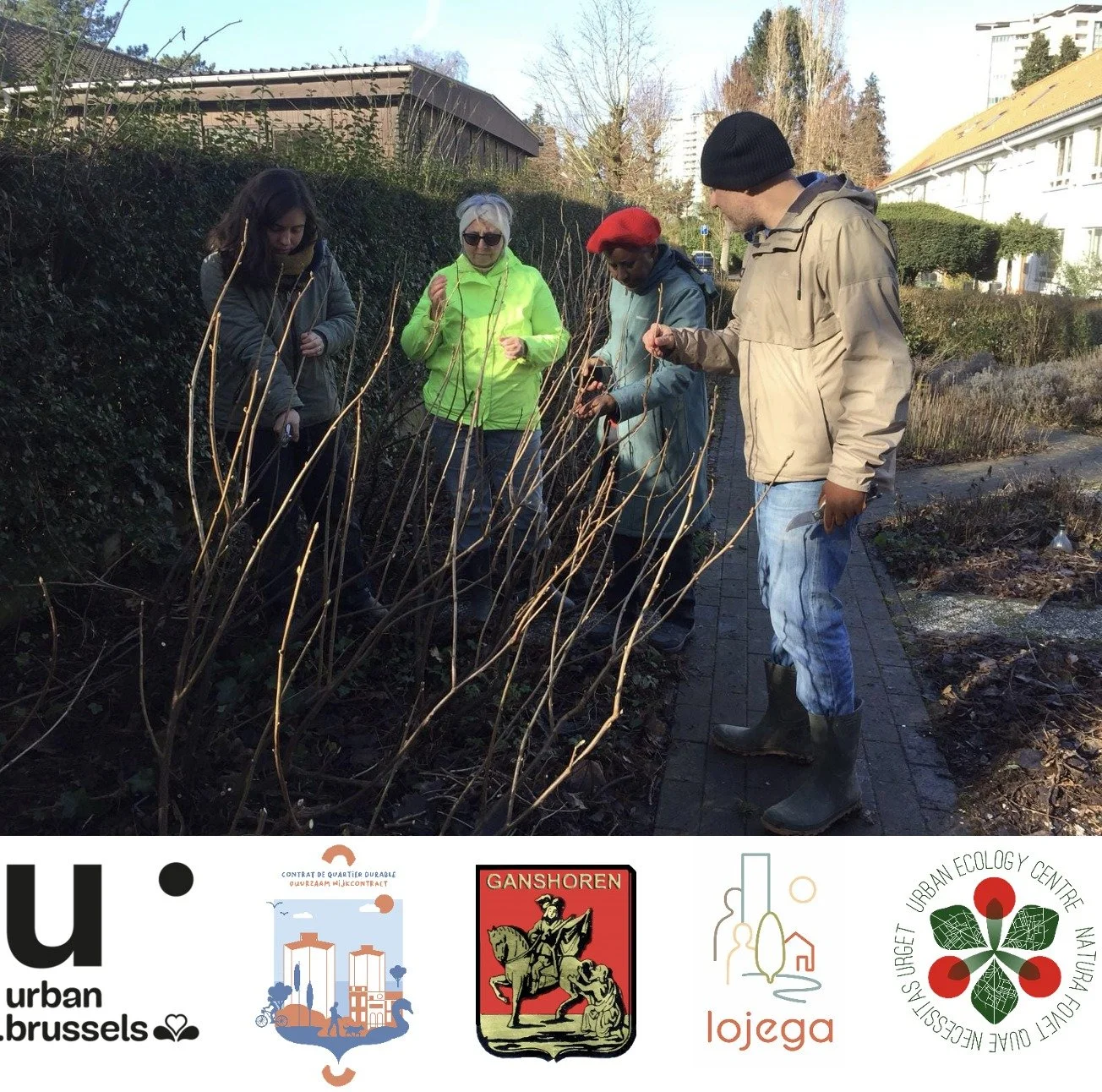 Atelier participatif de taille et bouturage de petits fruits dans de cadre du CQD Villas à Ganshoren
