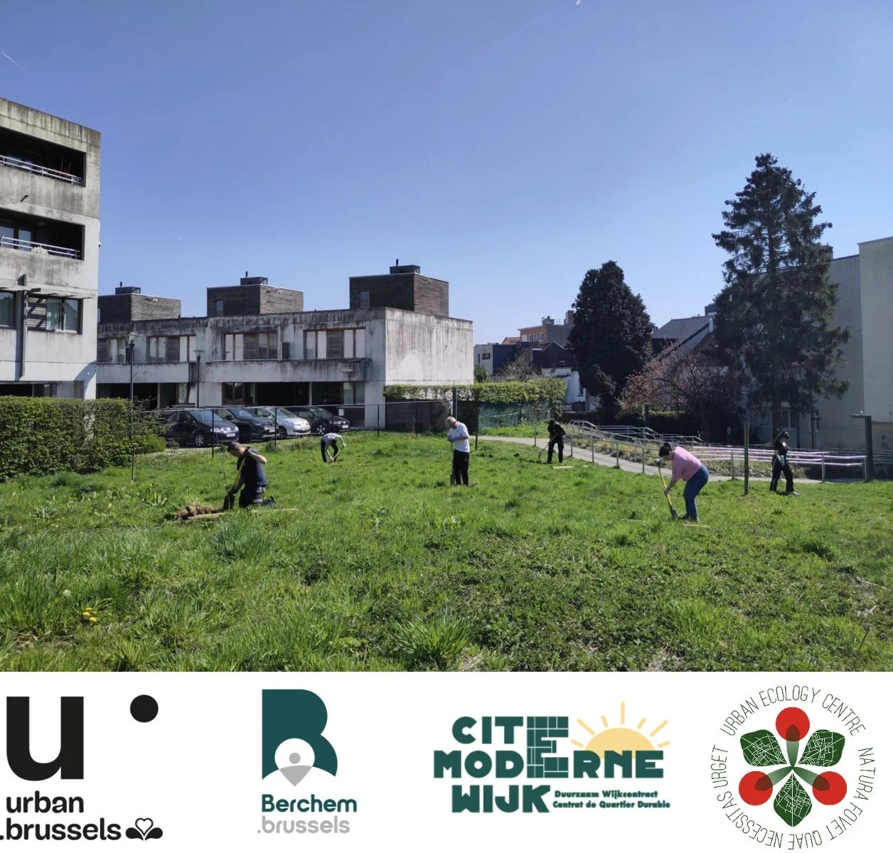 Atelier participatif de plantation de fruitiers dans le cadre du CQD Cité Moderne à Berchem-Sainte-Agathe