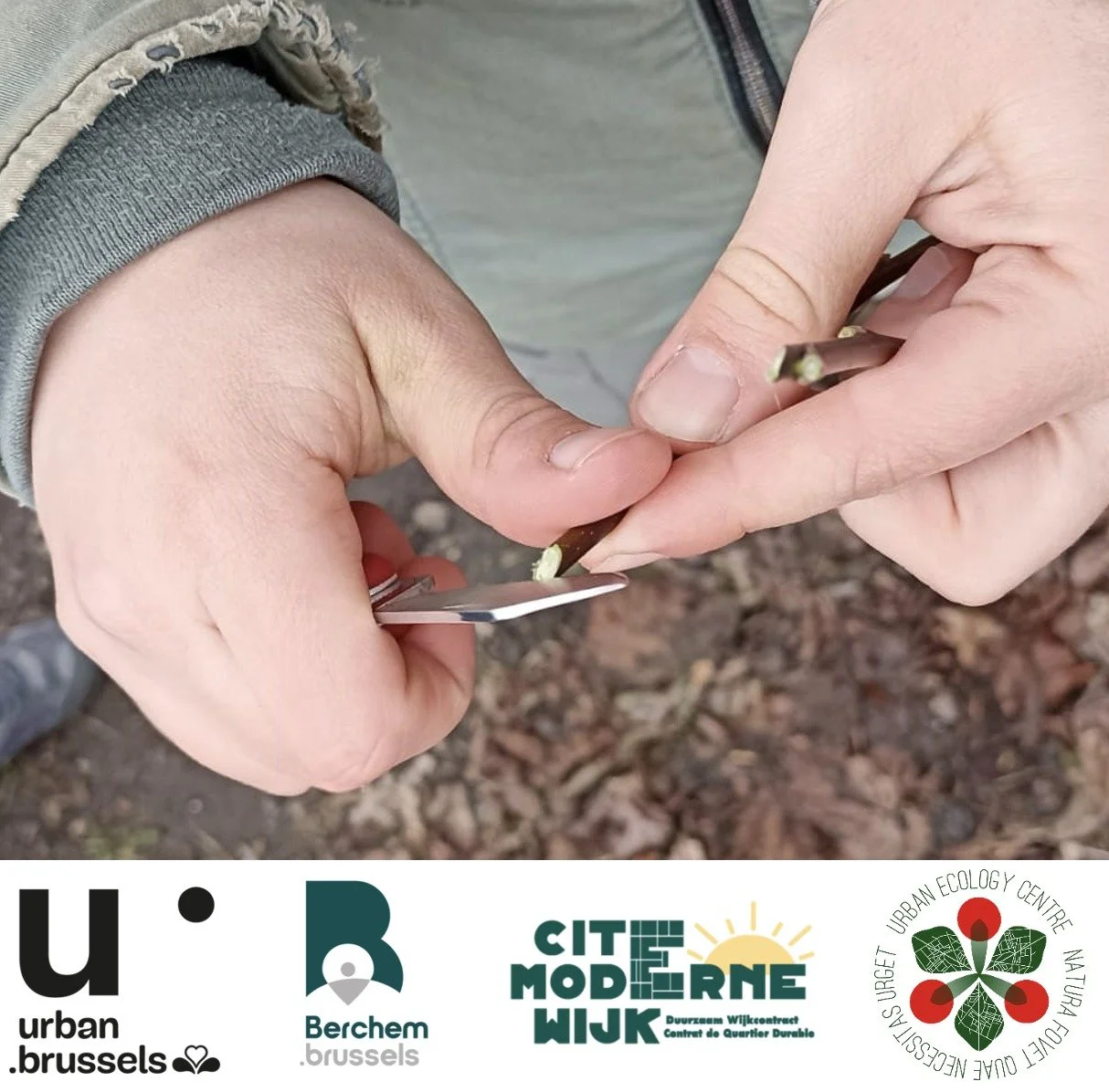 Atelier participatif de greffage d'arbres fruitiers dans le cadre du CQD Cité Moderne à Berchem-Sainte-Agathe