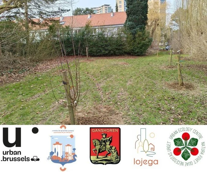 Atelier de soins des arbres fruitiers dans le cadre du CQD Villas à Ganshoren 