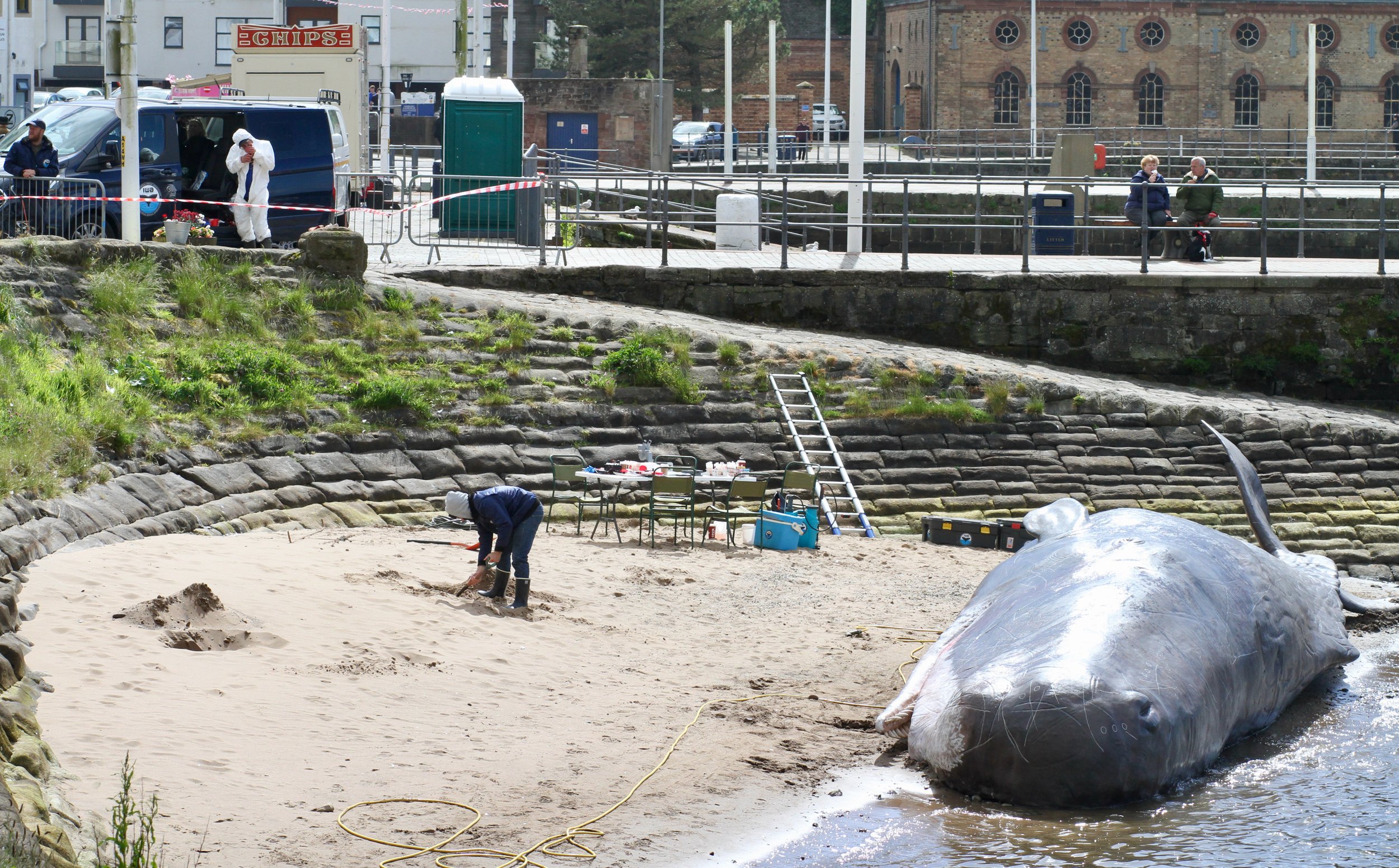 Whitehaven Marina